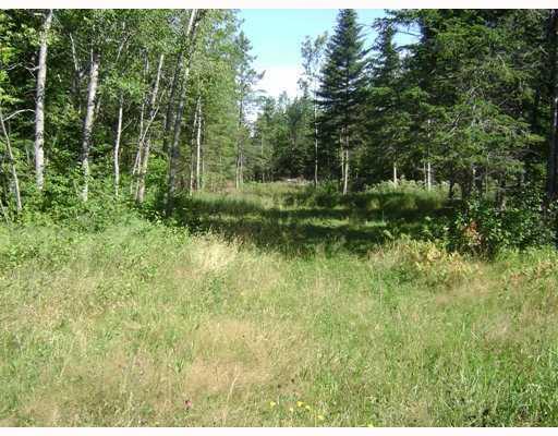 50 Long Pond Road Jackman, ME 04945 - Photo 4 of 8 Land. Second Driveway-Permit in place
