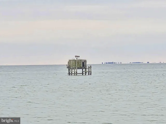 a view of a lake with a yard and large trees