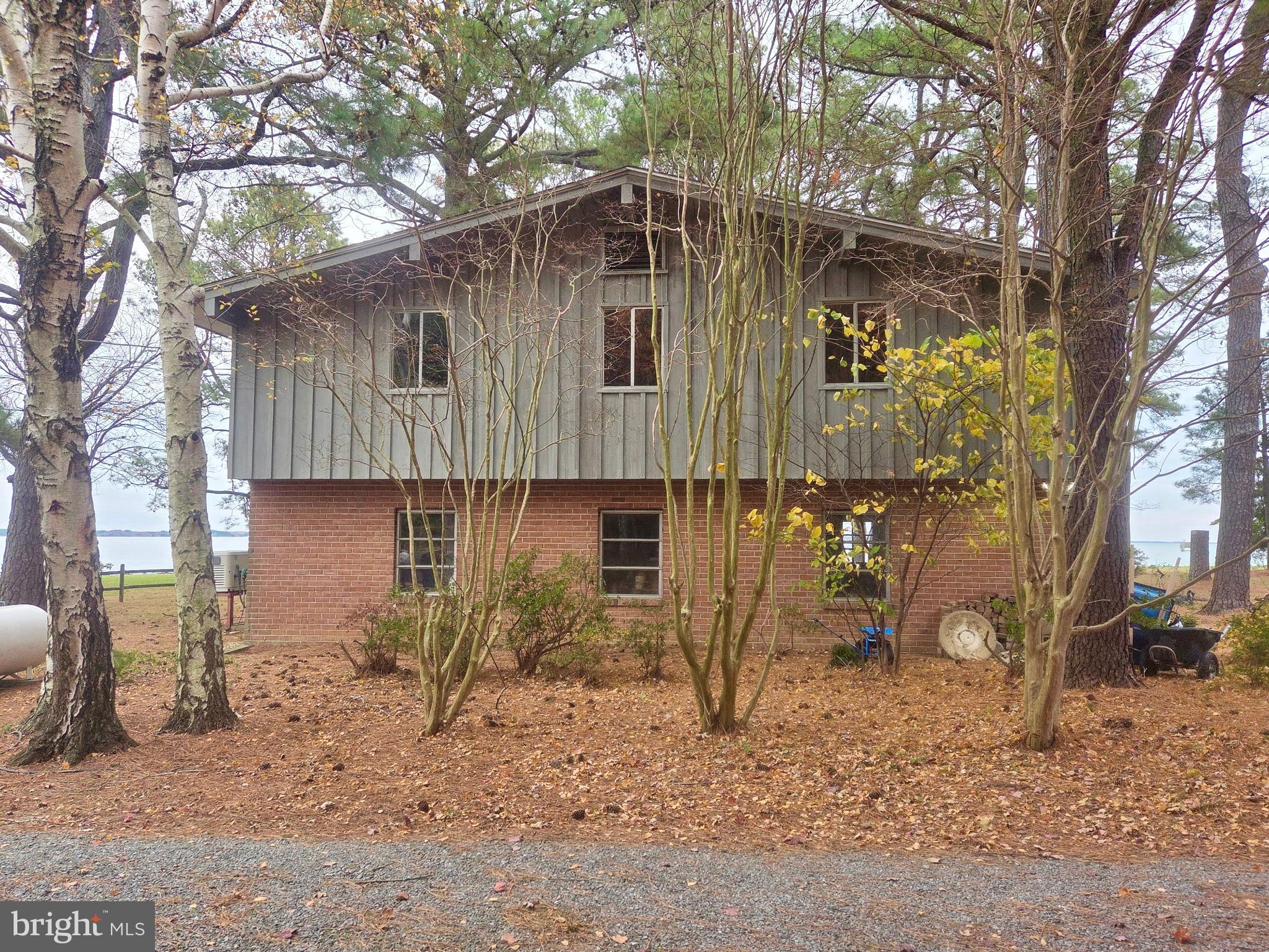 5489 Rude Avenue Tilghman, MD 21671 - Photo 16 of 65 a backyard of a house with large trees and a wooden fence