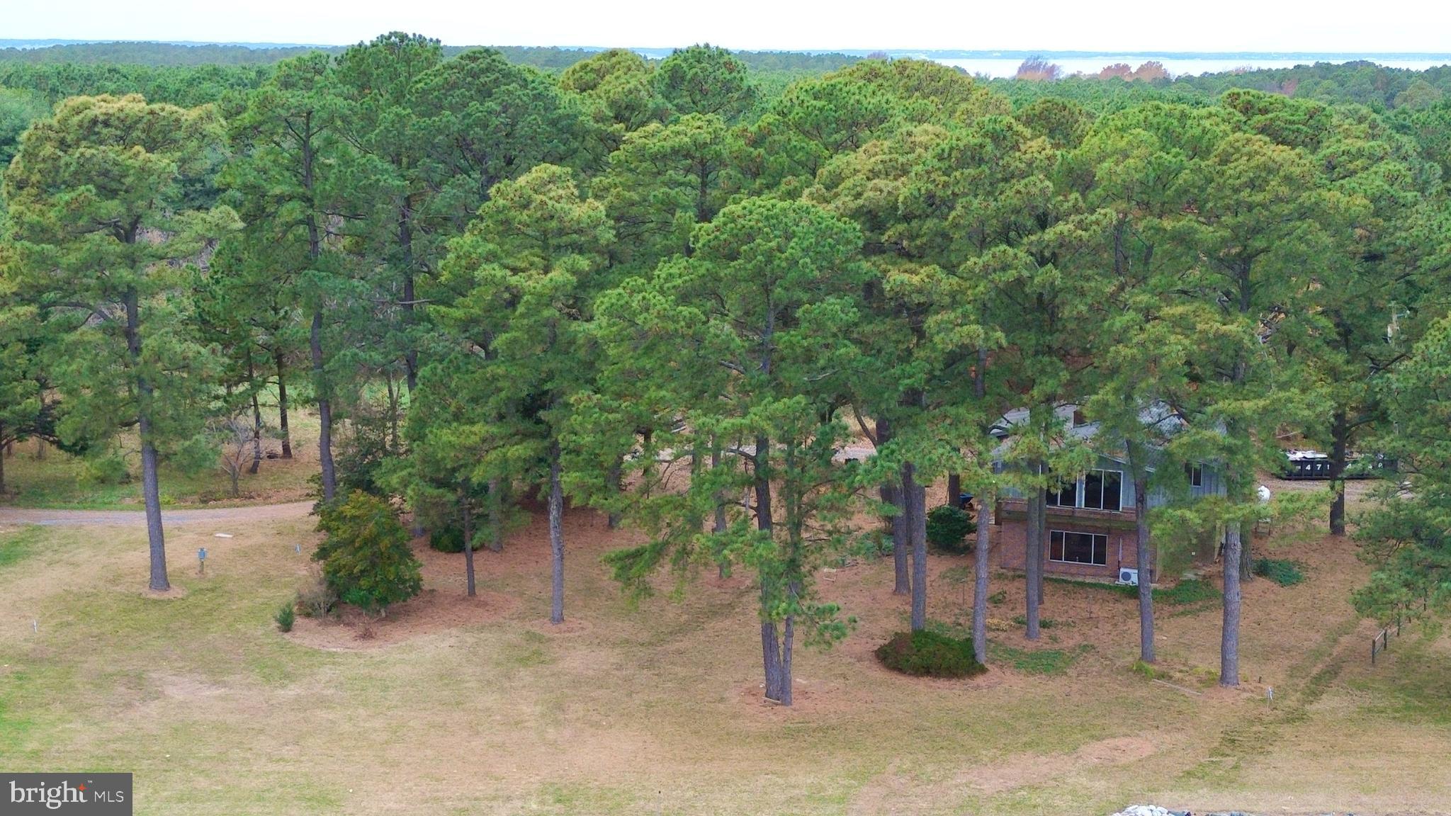 5489 Rude Avenue Tilghman, MD 21671 - Photo 18 of 65