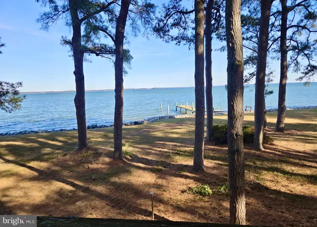 a view of an empty room with closet and a window