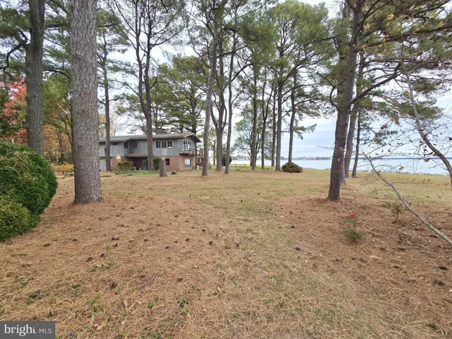 a view of a yard with trees in front of it