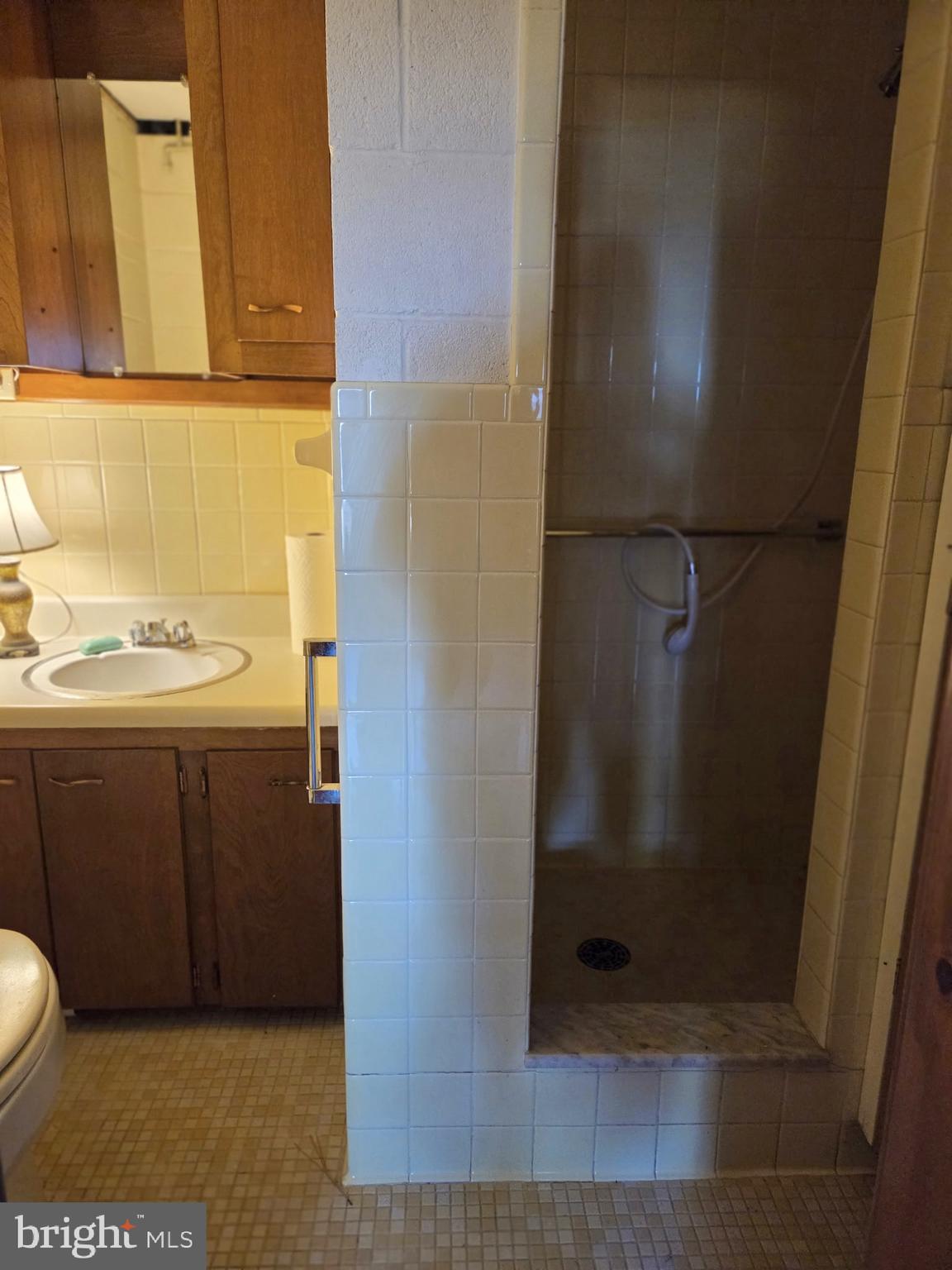 5489 Rude Avenue Tilghman, MD 21671 - Photo 32 of 65 a bathroom with a shower and toilet