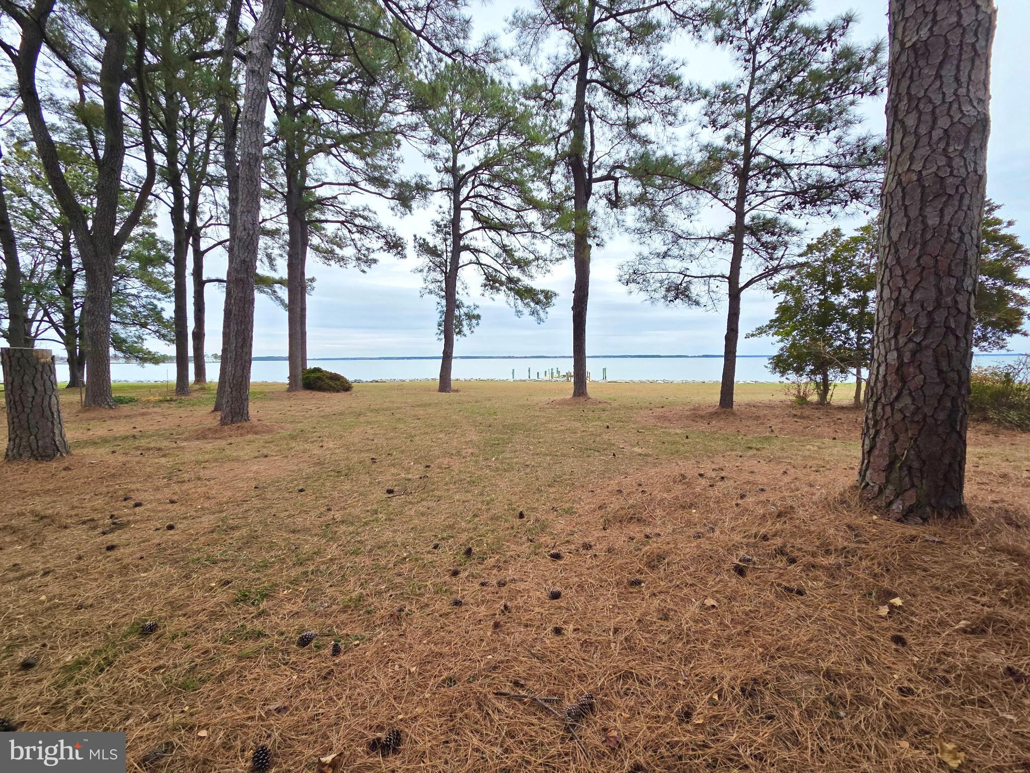 5489 Rude Avenue Tilghman, MD 21671 - Photo 4 of 65 a view of yard with tree in the background