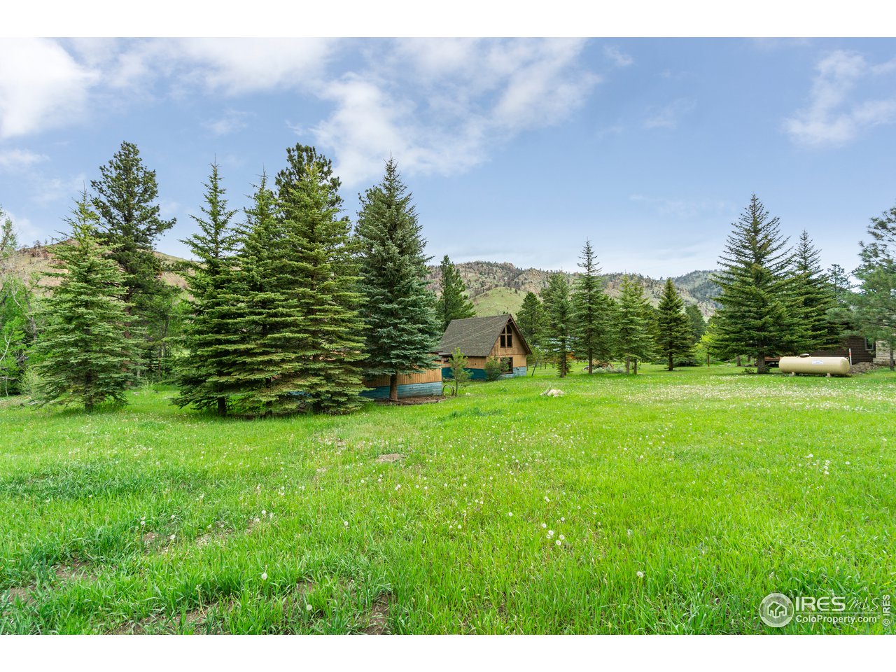 656 Rustic Road Bellvue, CO 80512 - Photo 28 of 40 Gallery Image 28