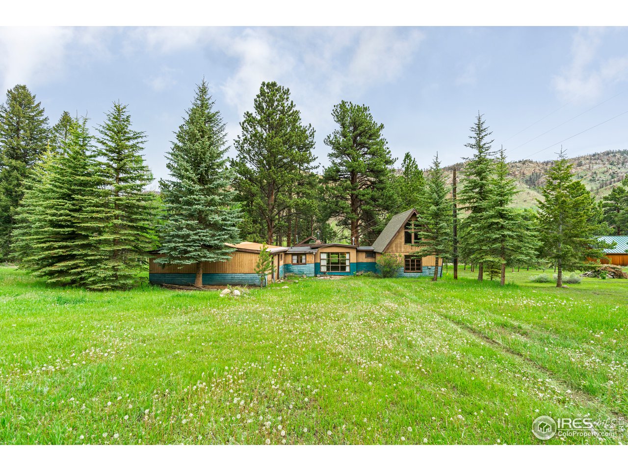 656 Rustic Road Bellvue, CO 80512 - Photo 3 of 40 Gallery Image 3
