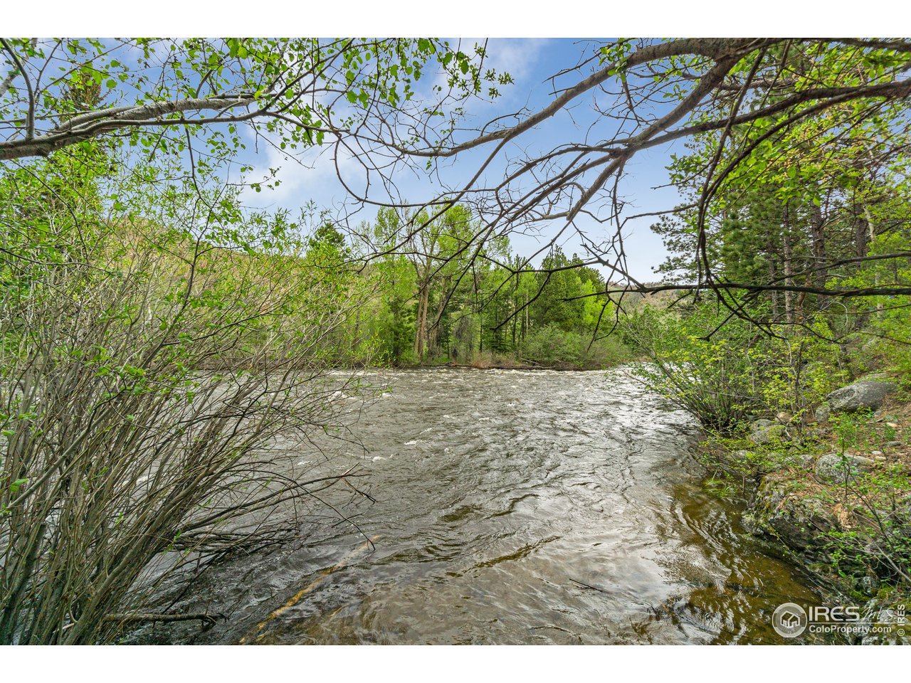 656 Rustic Road Bellvue, CO 80512 - Photo 33 of 40 Gallery Image 33