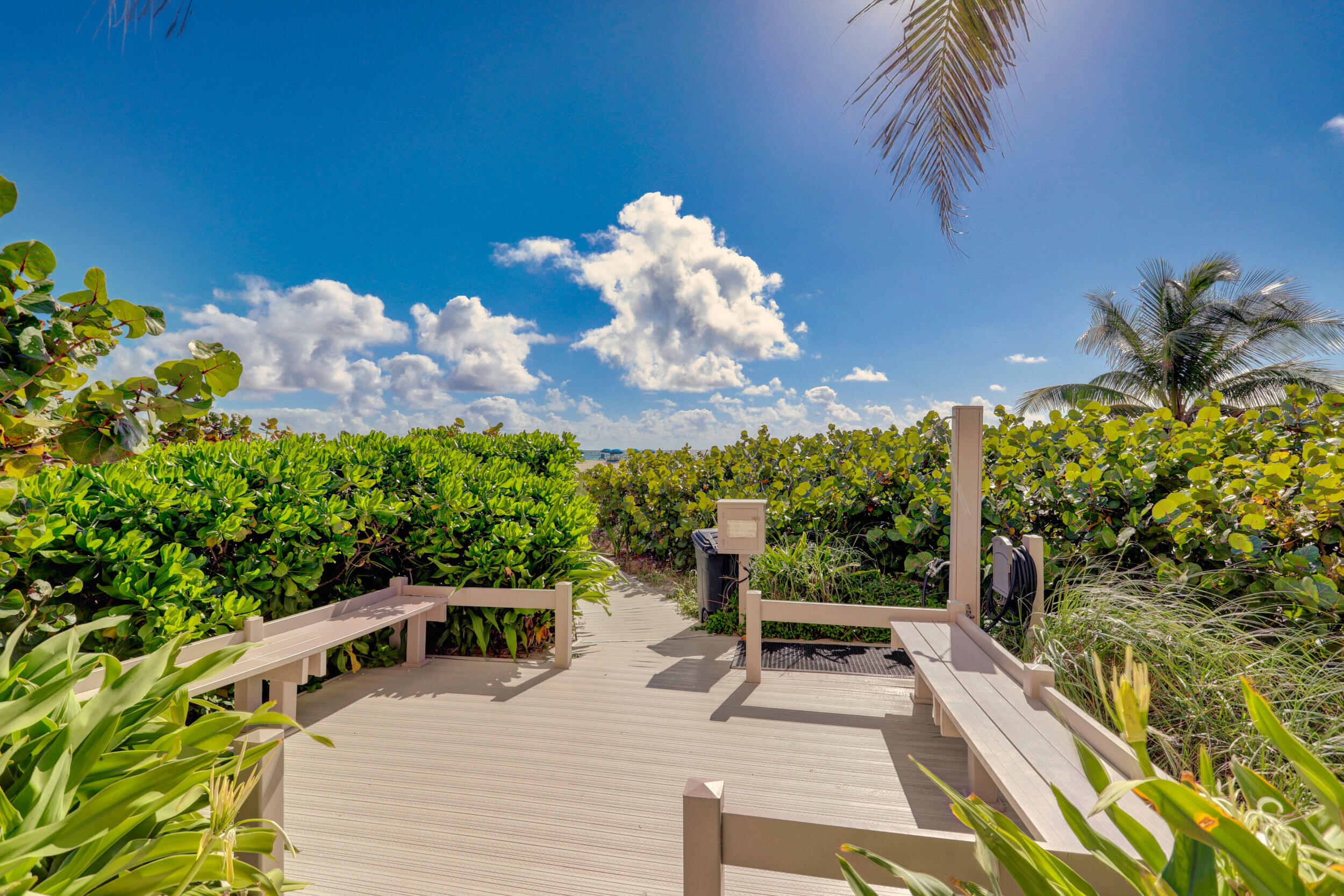 2800 North Ocean Drive, Unit A Riviera Beach, FL 33404 - Photo 40 of 65 50_320a9628_31_32_33_34