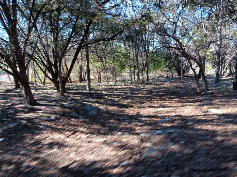 101 Timber Line Road Georgetown, TX 78633 - Photo 11 of 15 a view of outdoor space with trees
