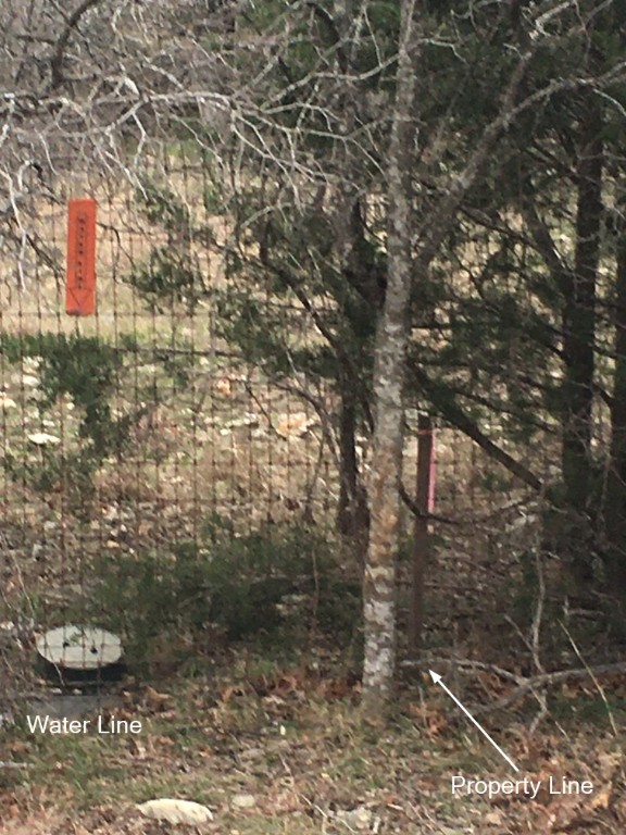 101 Timber Line Road Georgetown, TX 78633 - Photo 12 of 15 a view of a forest