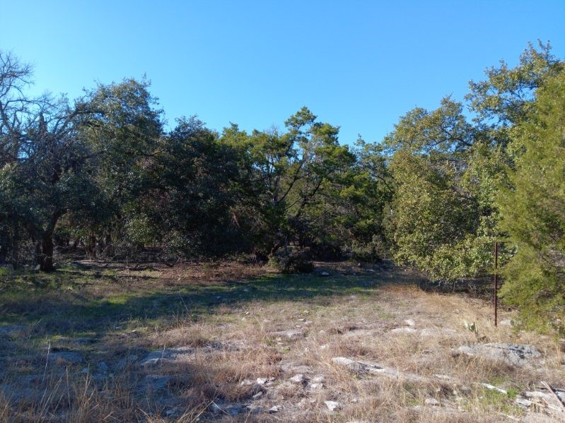 101 Timber Line Road Georgetown, TX 78633 - Photo 15 of 15 a view of outdoor space with trees
