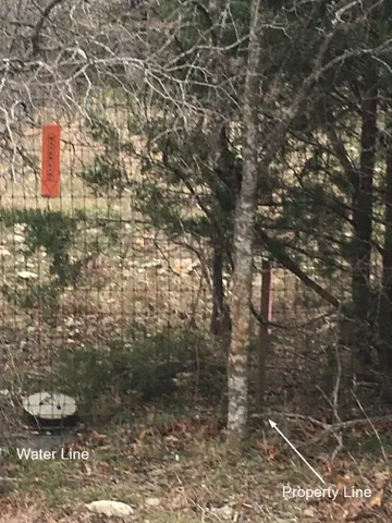 a view of a pathway both side of a road