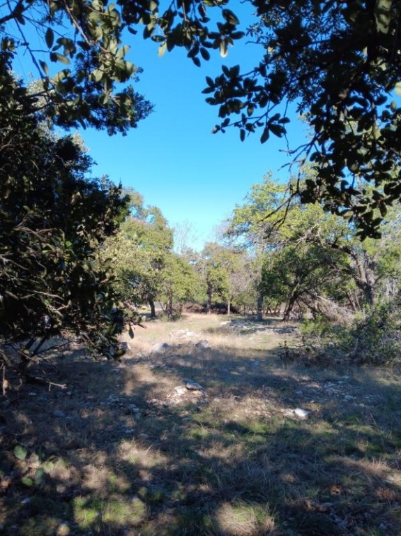101 Timber Line Road Georgetown, TX 78633 - Photo 4 of 15 a view of dirt yard with a tree