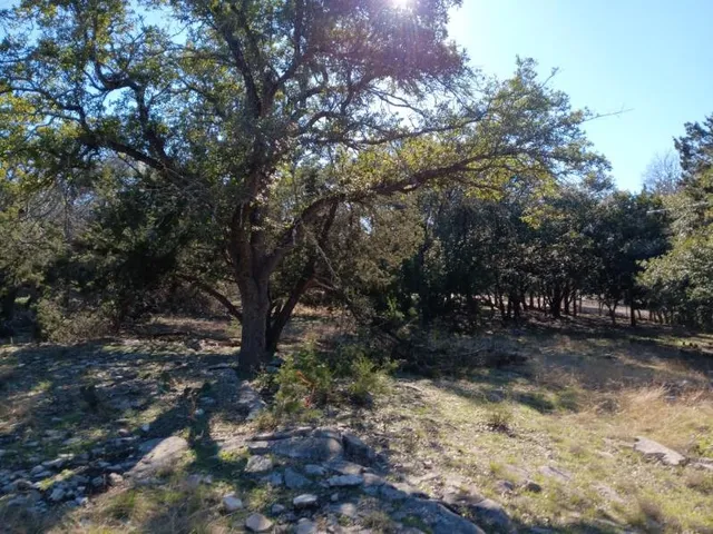a view of backyard with green space