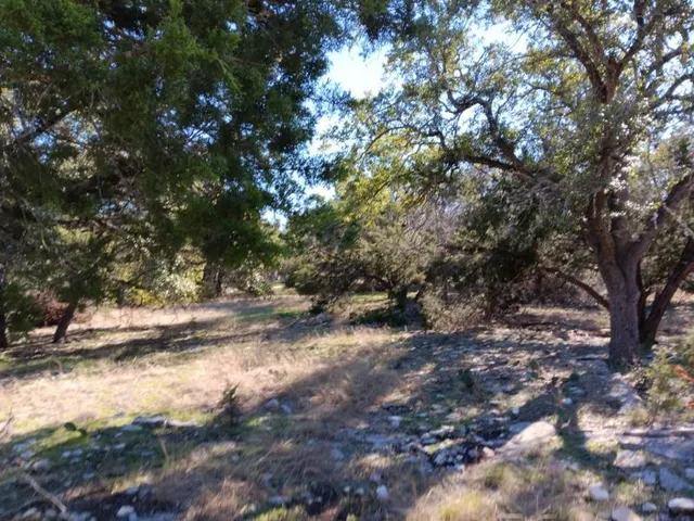 a view of a forest with trees