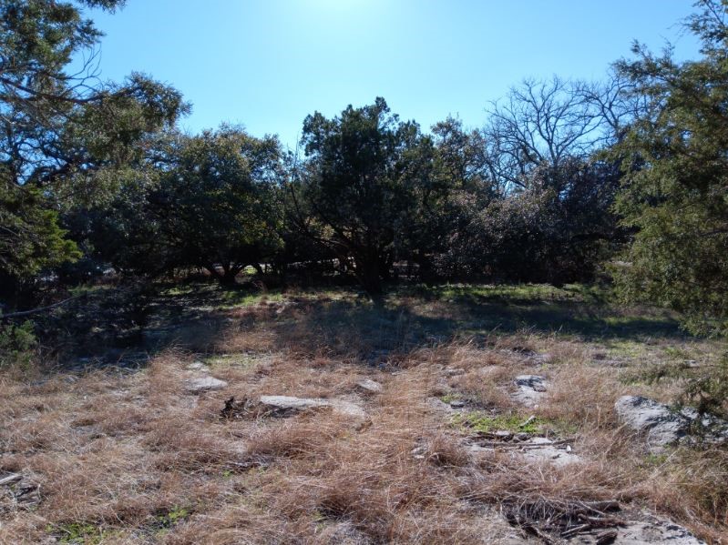 101 Timber Line Road Georgetown, TX 78633 - Photo 8 of 15 a view of outdoor space with green space