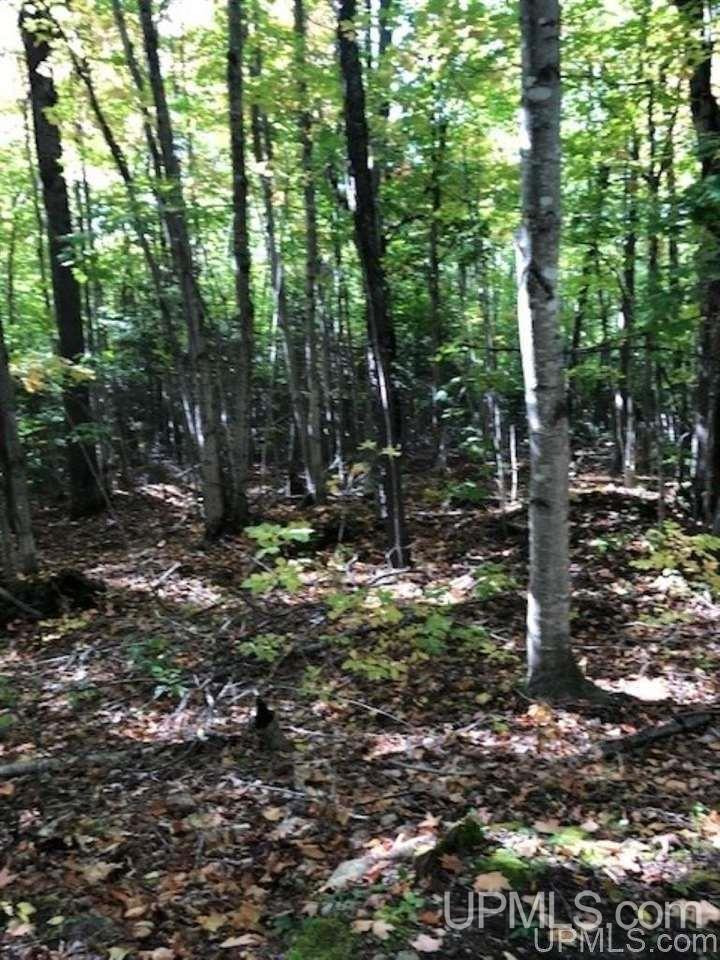 Tbd Koski Road Munising, MI 49862 - Photo 7 of 17