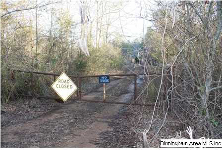 1010 County Road 2 Delta, AL 36258 - Photo 6 of 6