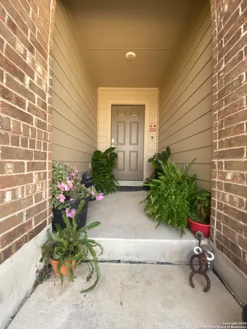 a potted plant sitting in front of a house
