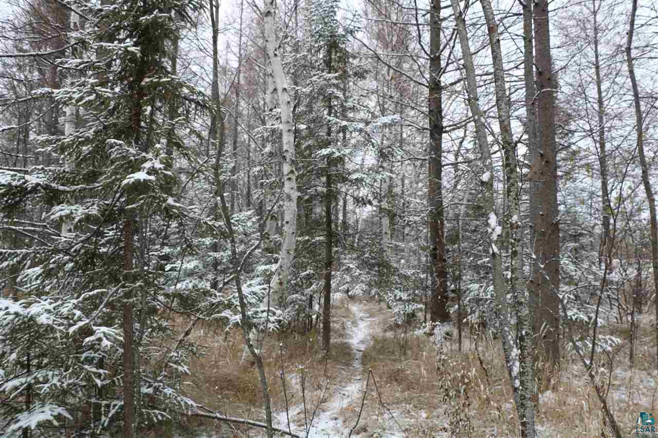 61-xx Rice Lake Road Duluth, MN 55803 - Photo 13 of 13