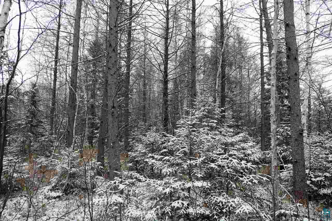 61-xx Rice Lake Road Duluth, MN 55803 - Photo 2 of 13
