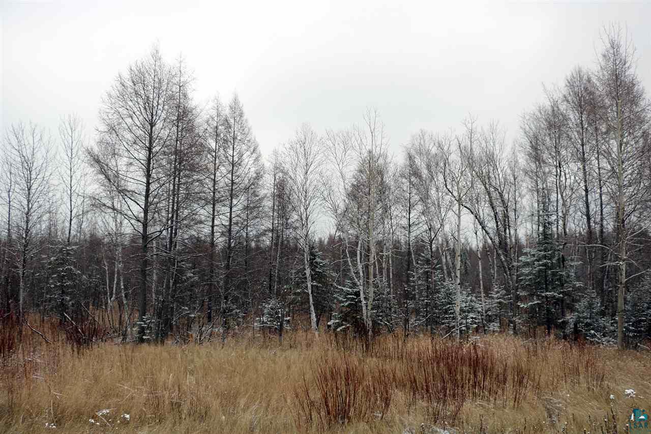 61-xx Rice Lake Road Duluth, MN 55803 - Photo 4 of 13
