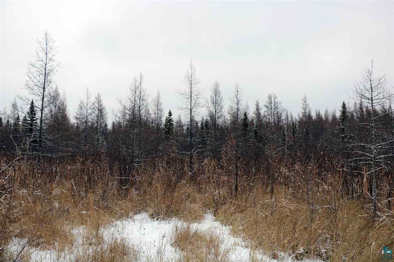 61-xx Rice Lake Road Duluth, MN 55803 - Photo 6 of 13