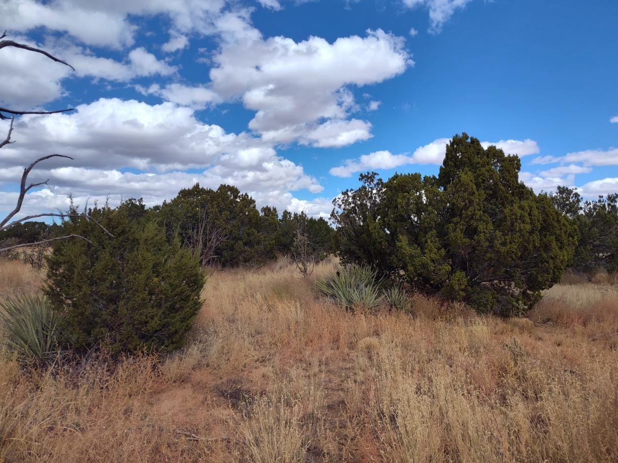 Golf Course Road Mountainair, NM 87036 - Photo 5 of 22 Gallery Image 5