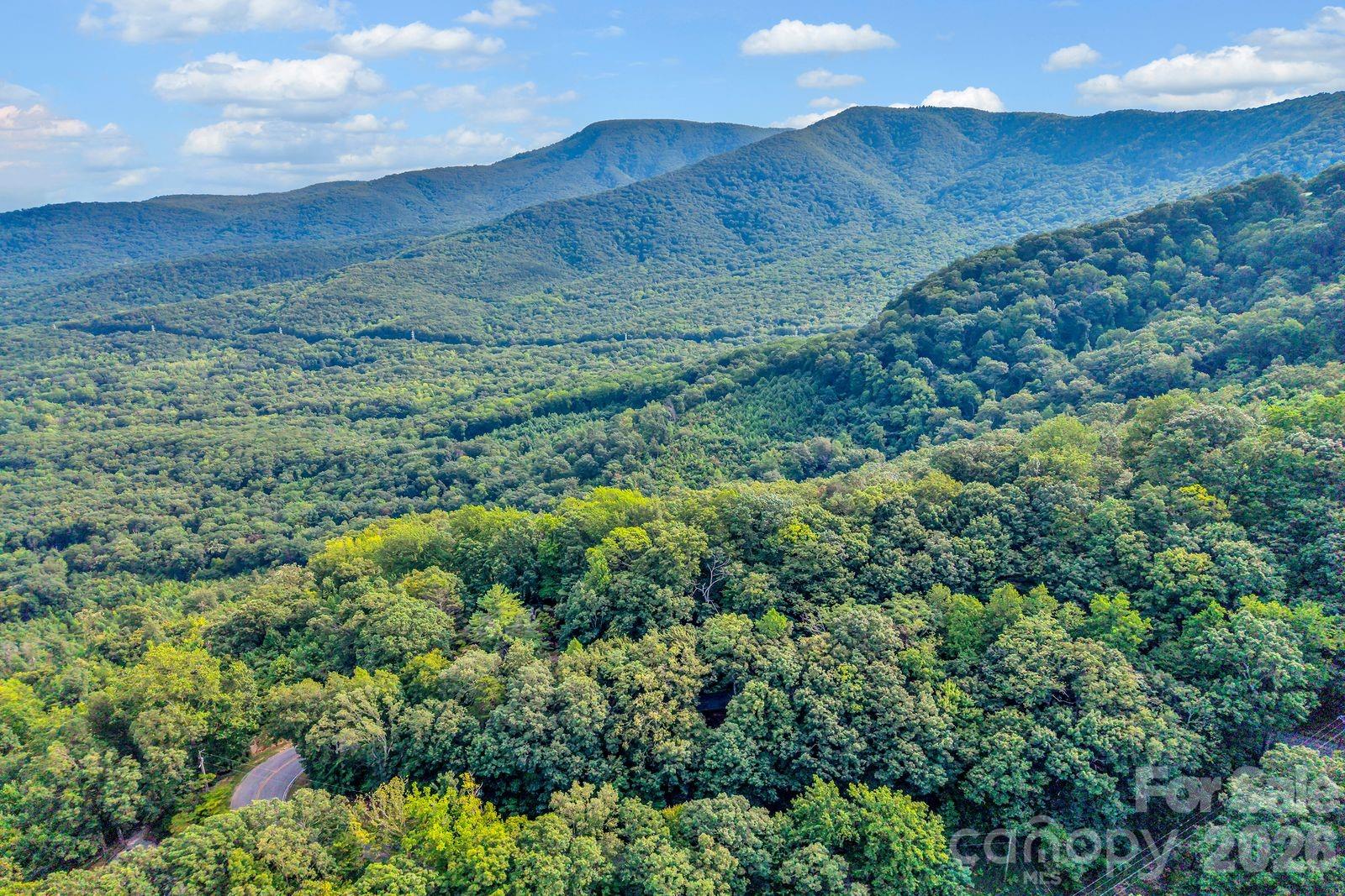 0 Hogback Mountain Road, Unit 63 Tryon, NC 28782 - Photo 1 of 16 Gallery Image 1