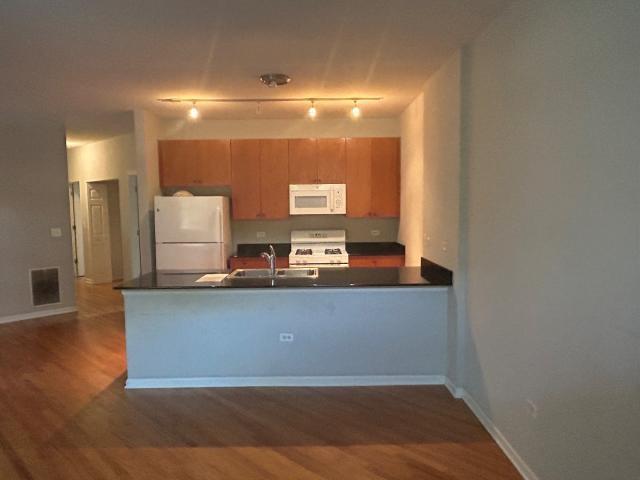 1461 South Halsted Street, Unit 1B Chicago, IL 60607 - Photo 18 of 20 a view of a living room with wooden floor