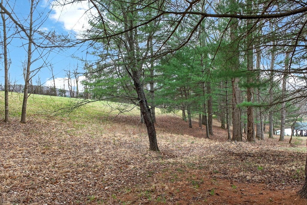 1955 Joy Ranch Road Woodlawn, VA 24381 - Photo 18 of 85 Gallery Image 18