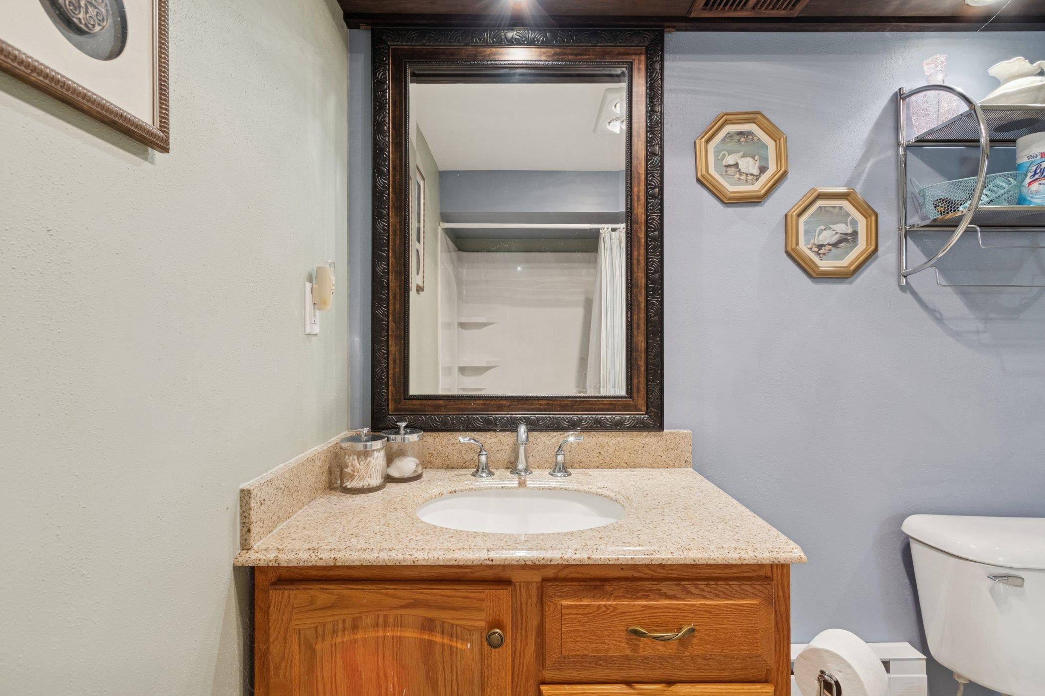 638 Merrion Road Roscoe, IL 61073 - Photo 32 of 64 a bathroom with a granite countertop sink and a mirror