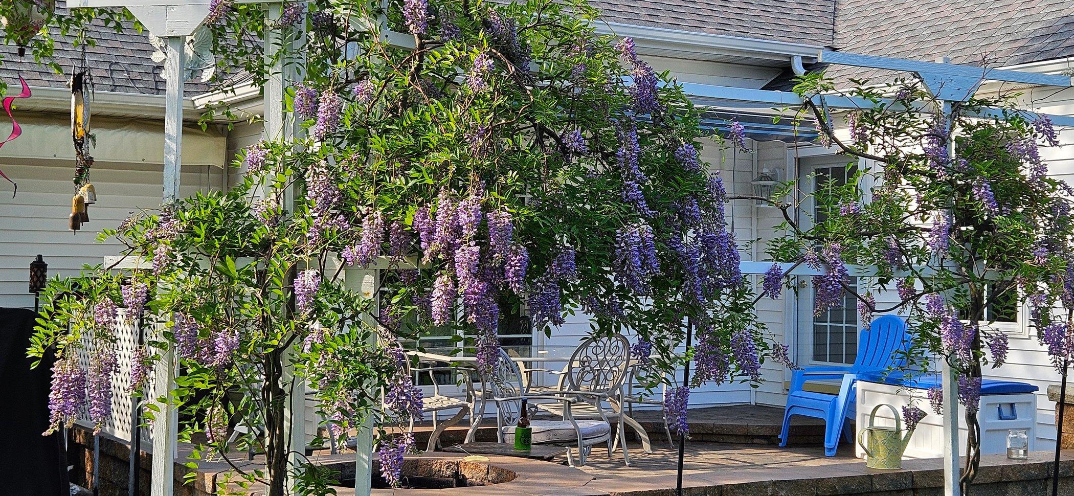 638 Merrion Road Roscoe, IL 61073 - Photo 45 of 64