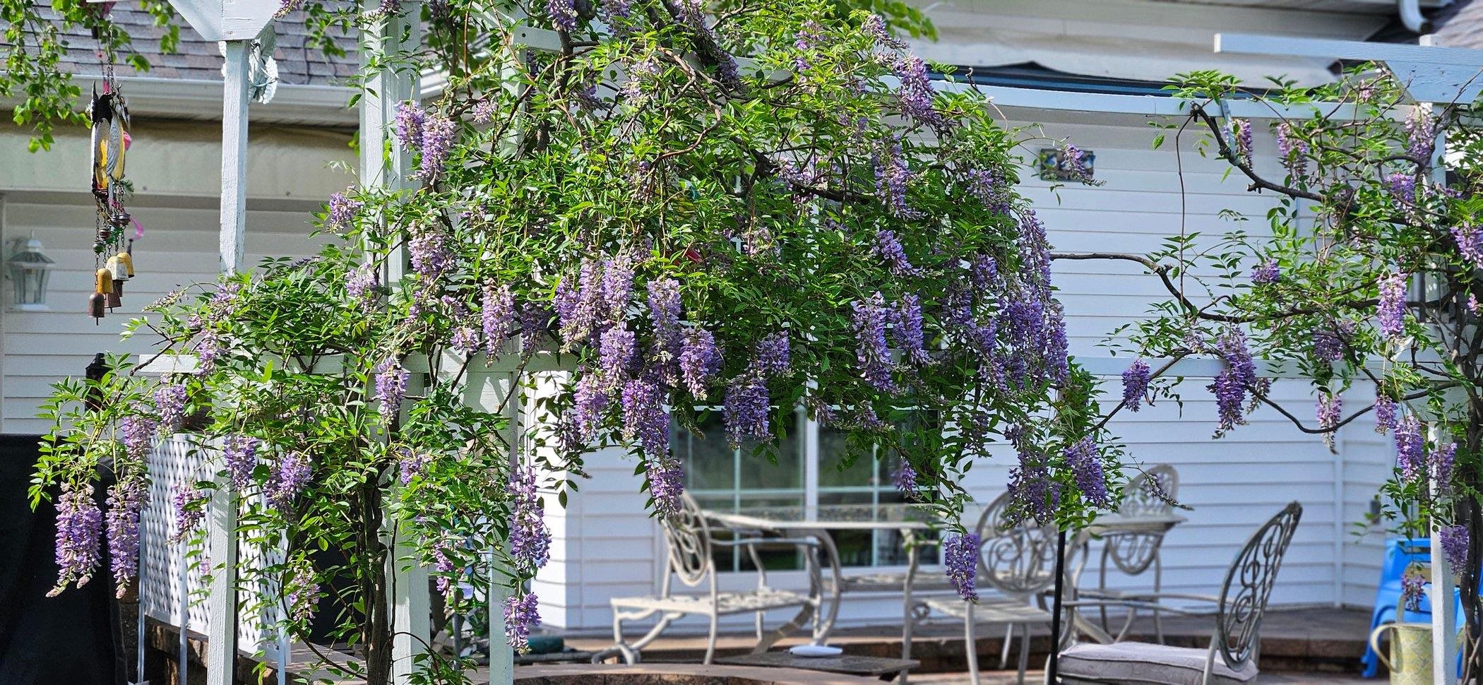 638 Merrion Road Roscoe, IL 61073 - Photo 55 of 64