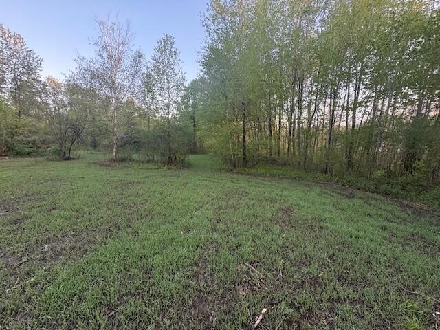 3775 16 Mile Road Marion, MI 49665 - Photo 38 of 55 wpp6