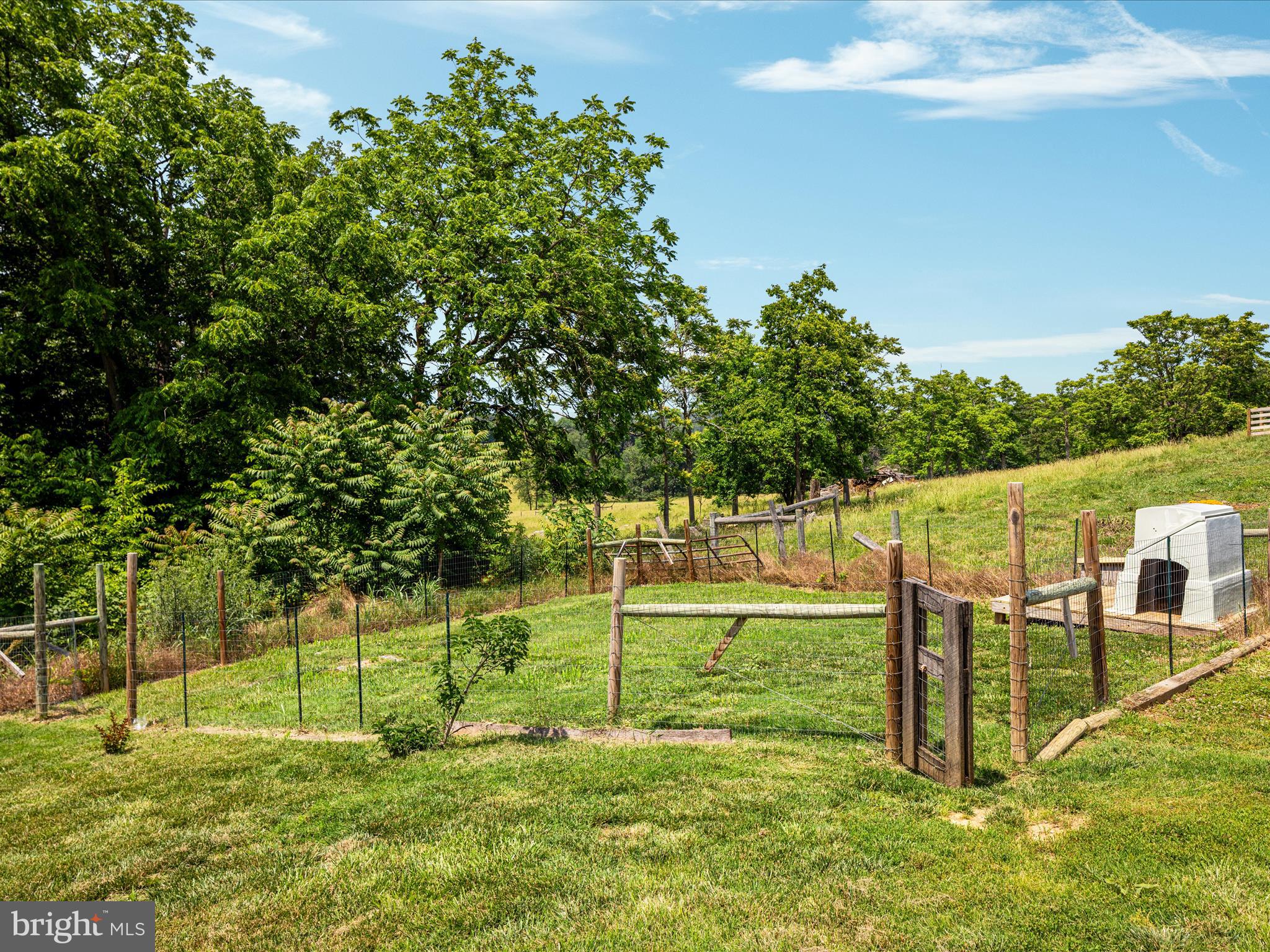 10399 South Middle Road Mount Jackson, VA 22842 - Photo 33 of 35 Rear Pen for Dogs!