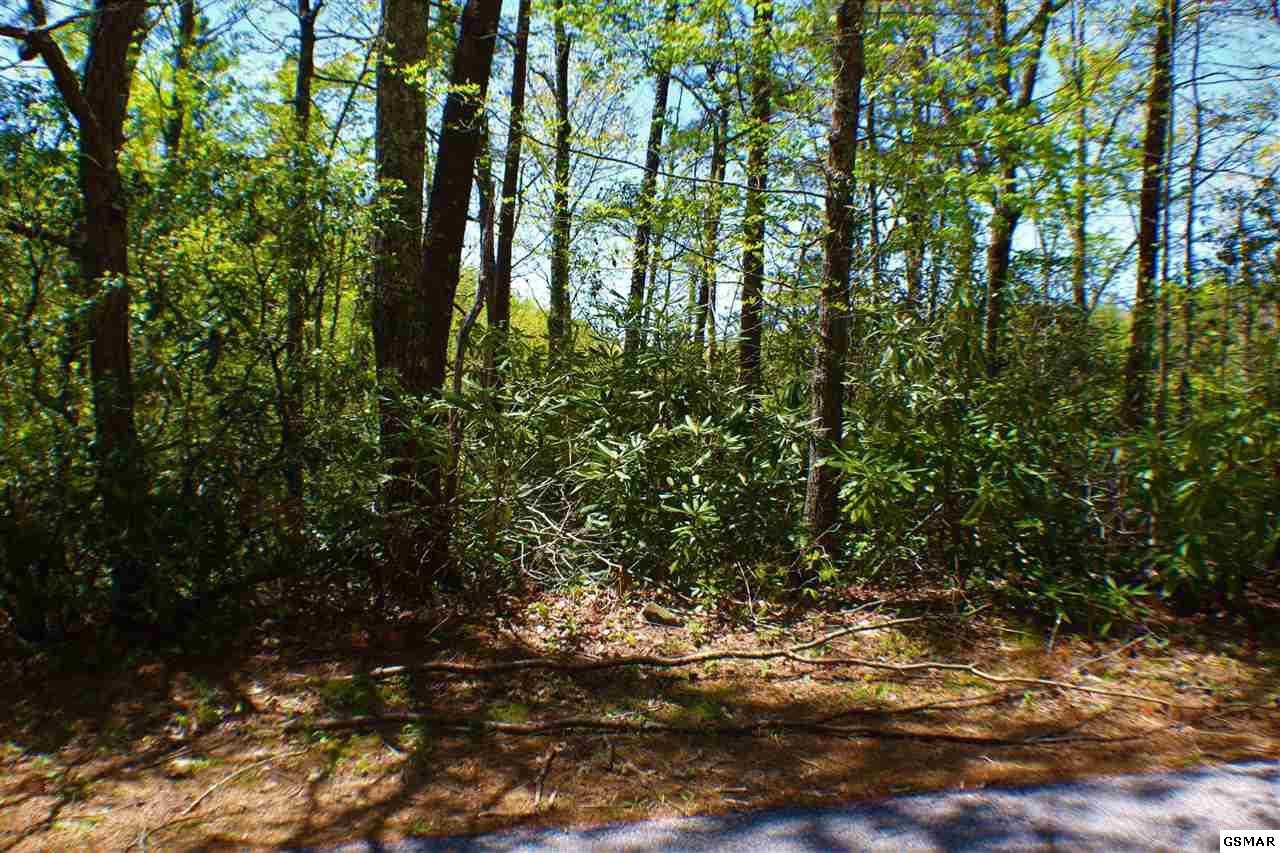 2425 Mathis Hollow Road Gatlinburg, TN 37738 - Photo 8 of 8 Gallery Image 8