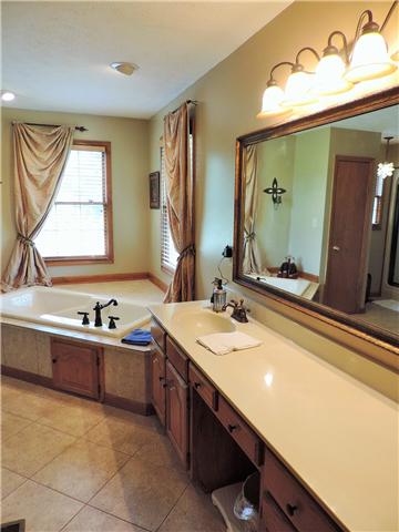 2920 Sweethome Road Chapmansboro, TN 37035 - Photo 15 of 20 Owner's vanity and sink along with jetted tub.