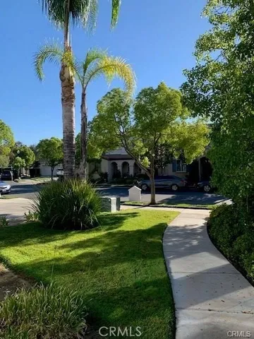 a view of a swimming pool with a garden and plants