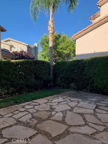 a view of a backyard with plants and a large tree