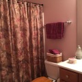 2454 Rolling Ridge Elgin, IL 60124 - Photo 8 of 15