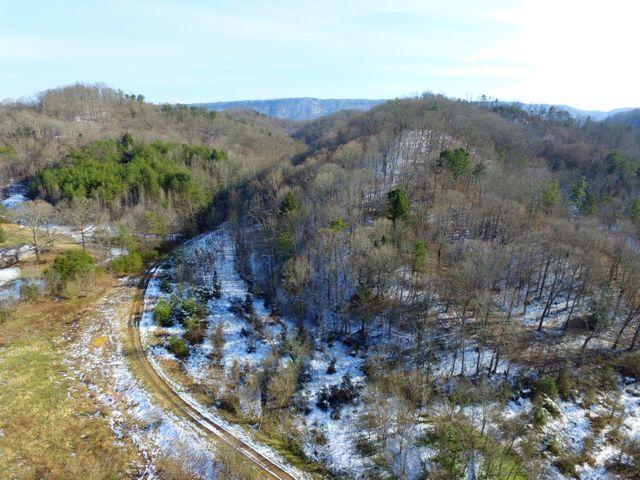 Tract 1 Blockhouse Road Maryville, TN 37803 - Photo 10 of 15 10