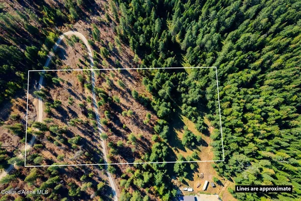$125,000 | Lot 1 Moose Mountain, Priest River, ID 83856