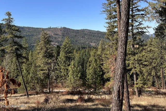 $125,000 | Lot 1 Moose Mountain, Priest River, ID 83856