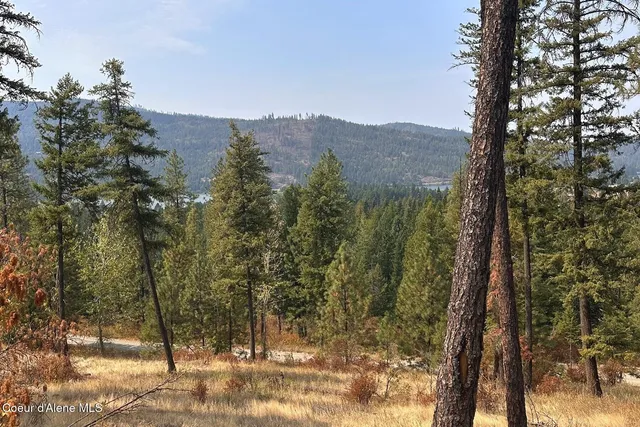$125,000 | Lot 1 Moose Mountain, Priest River, ID 83856