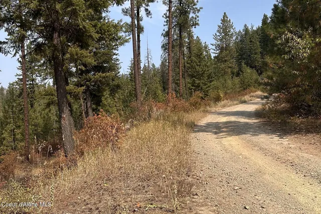 $125,000 | Lot 1 Moose Mountain, Priest River, ID 83856
