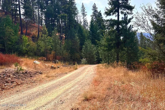 $125,000 | Lot 1 Moose Mountain, Priest River, ID 83856