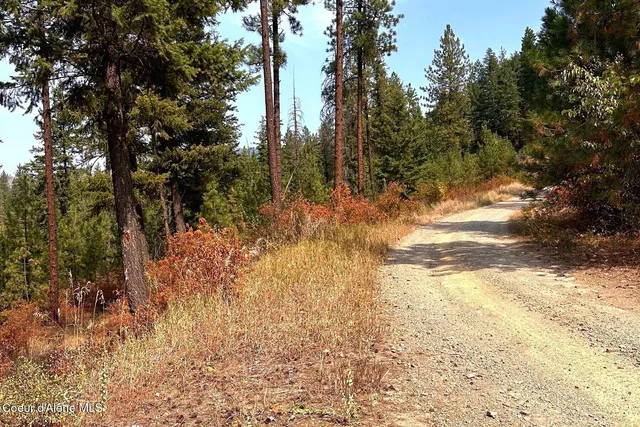 $125,000 | Lot 1 Moose Mountain, Priest River, ID 83856