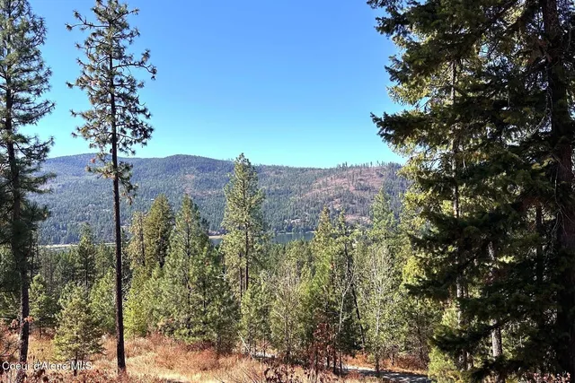 $125,000 | Lot 1 Moose Mountain, Priest River, ID 83856
