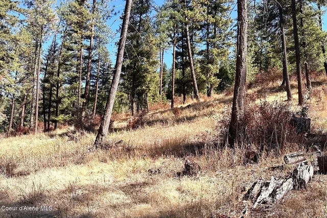 $125,000 | Lot 1 Moose Mountain, Priest River, ID 83856